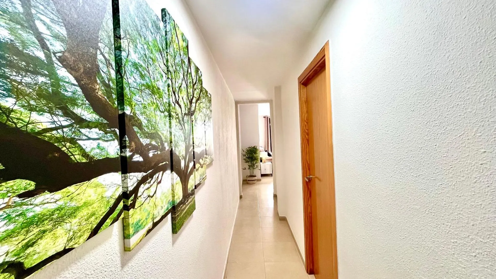 شقة Centrico Apartamento A Pasos Del Castillo Y La Playa روكيتاس ذي مار
